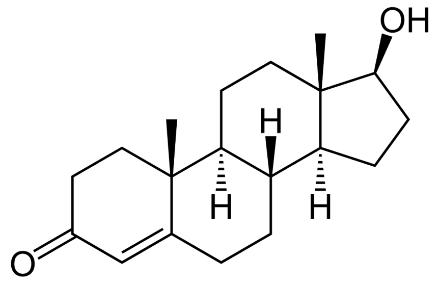 The Testosterone molecule